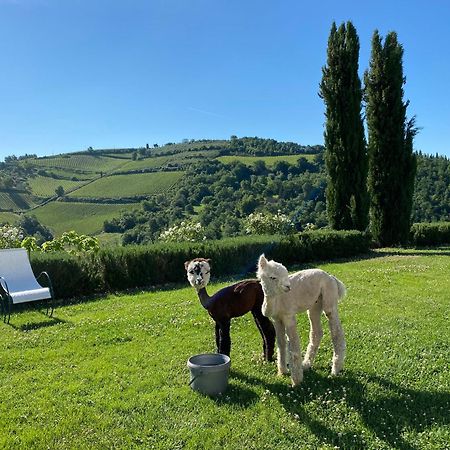 Villa Rignana Chianti Estate, Pool, Tennis,Cook Greve in Chianti Buitenkant foto